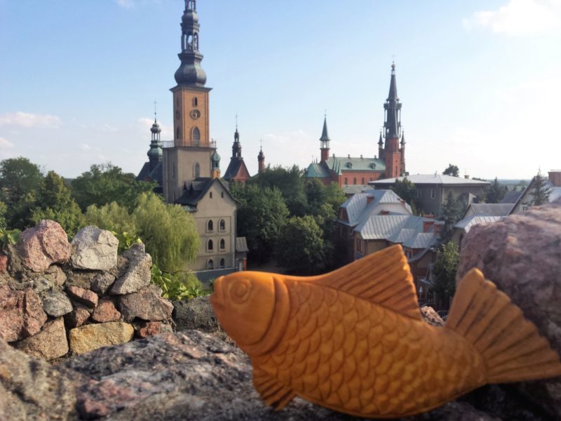 Rybka rozgląda się po Starym Licheniu